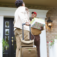 Photo of the SimplyGo Portable Oxygen Concentrator in the bag and cart with a person using it. thumbnail